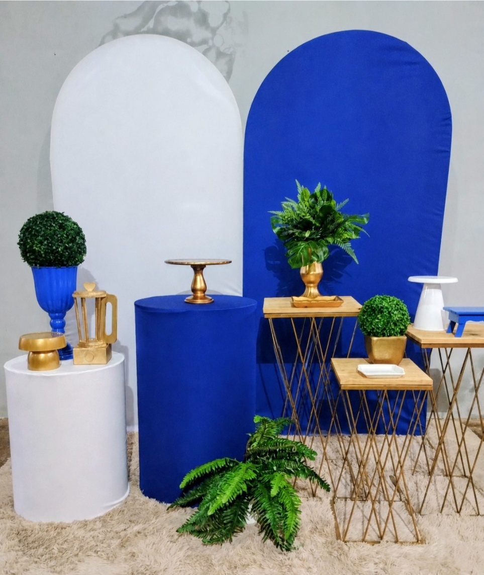Azul E Branco C/ Tapete de Pelos - Ágata pegue monte e decore 