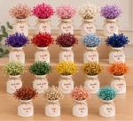 Vasinho Gesso - Kit Com 10 Unidades - imagem 2