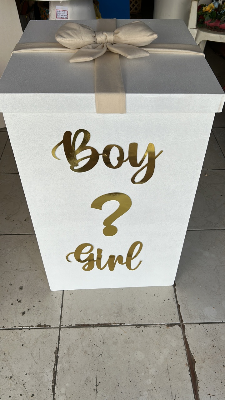 Caixa Revelação Boy Or Girl - Decorando.sonhos