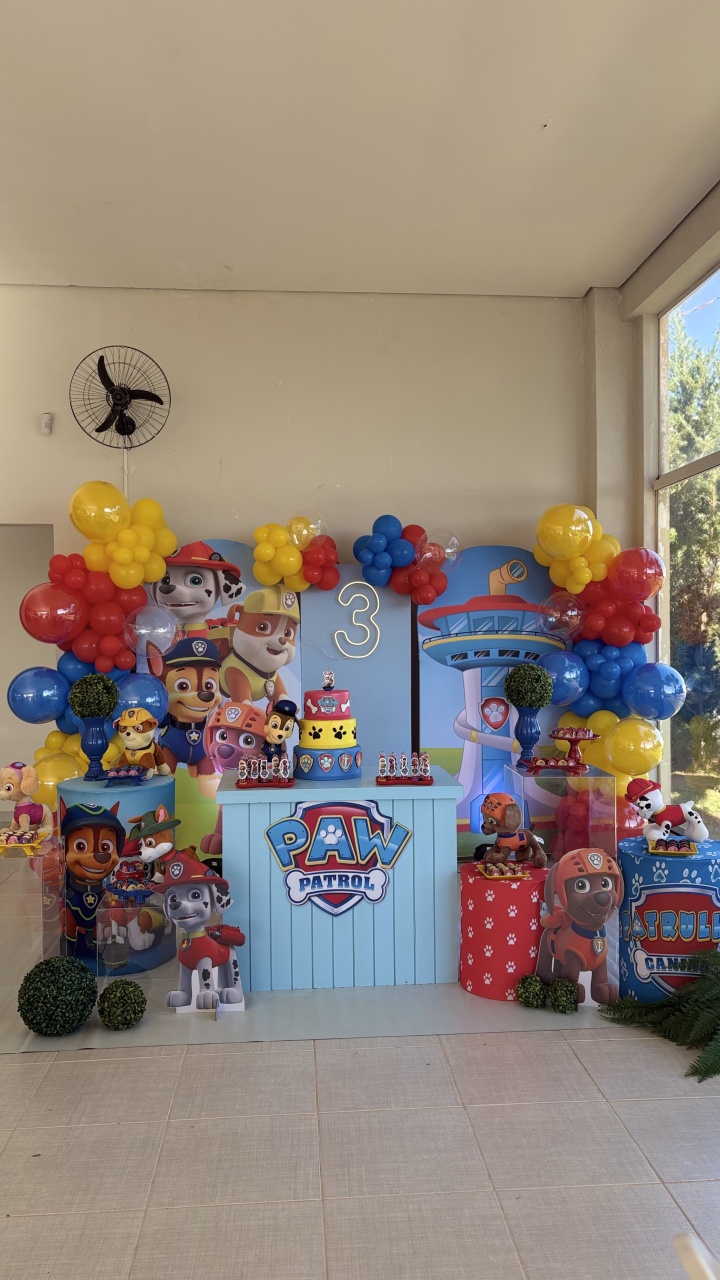 Decoração Patrulha Canina - Toque Mágico Decoração e pegue e monte