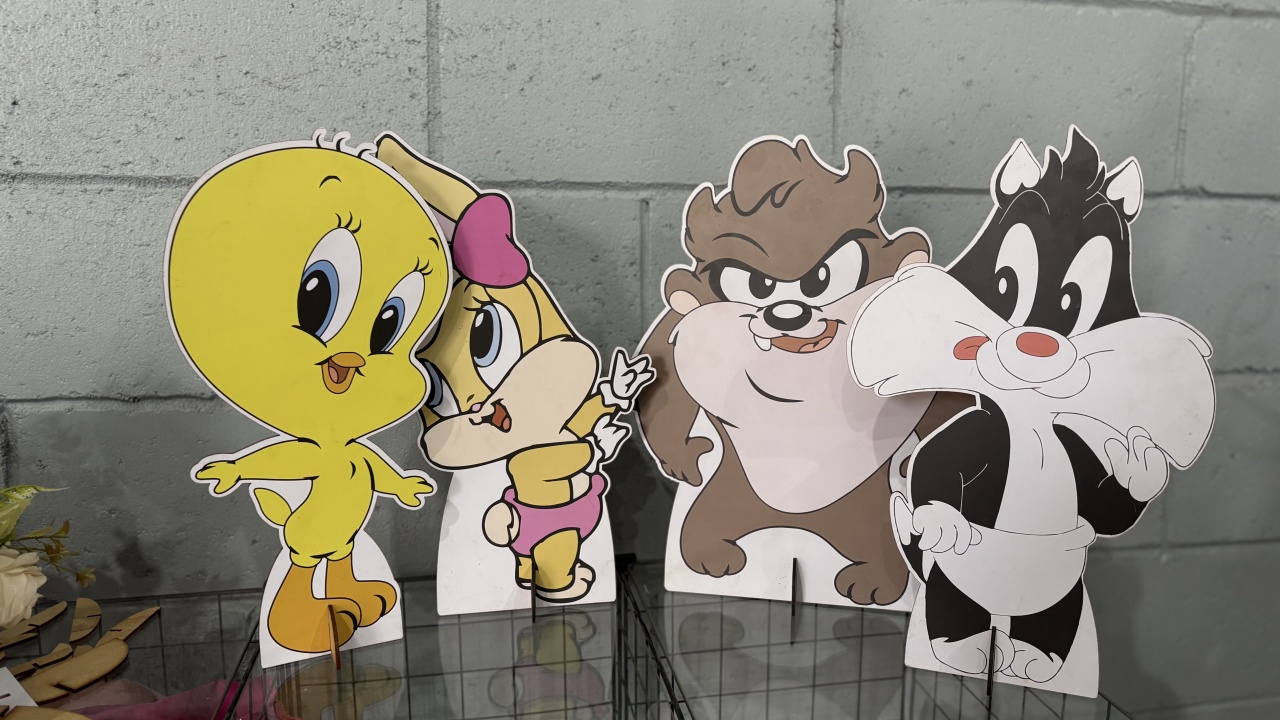 Kit Display Médio Looney Tunes - Toque Mágico Decoração e pegue e monte
