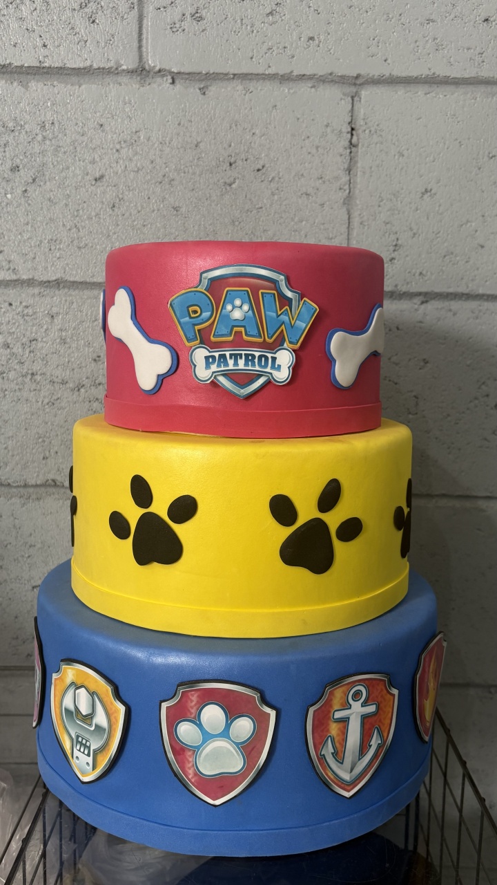 Bolo Fake Patrulha Canina Menino - Toque Mágico Decoração e pegue e monte