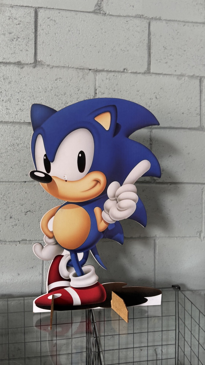 Display Sonic Grande - Toque Mágico Decoração e pegue e monte