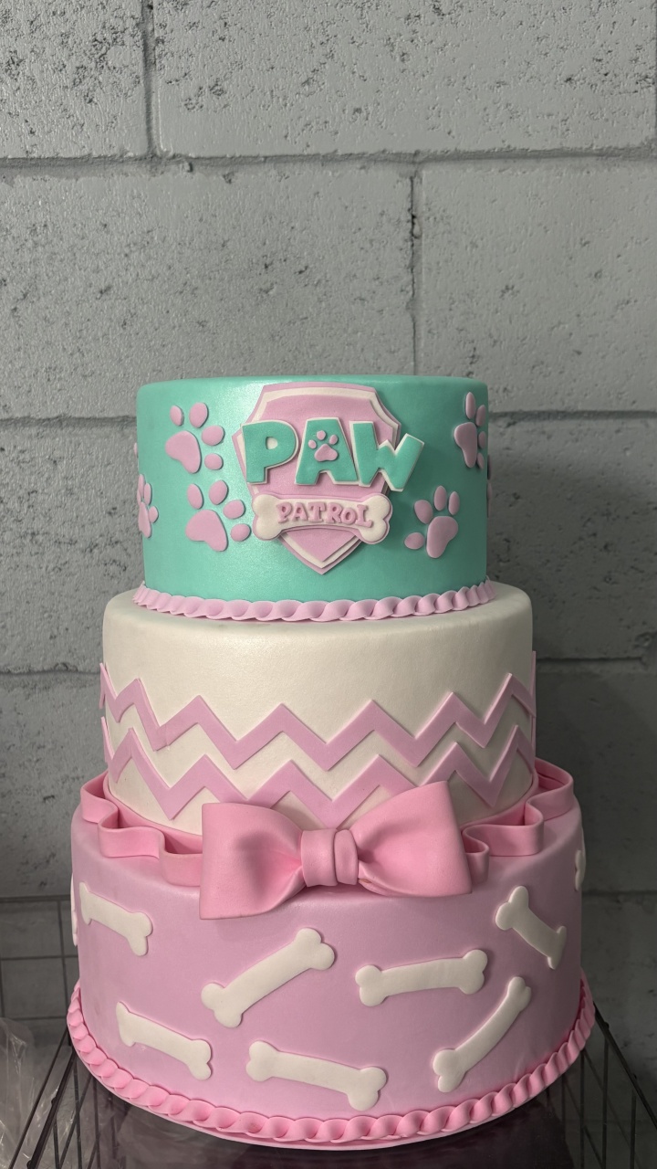 Bolo Fake Patrulha Canina Menina - Toque Mágico Decoração e pegue e monte