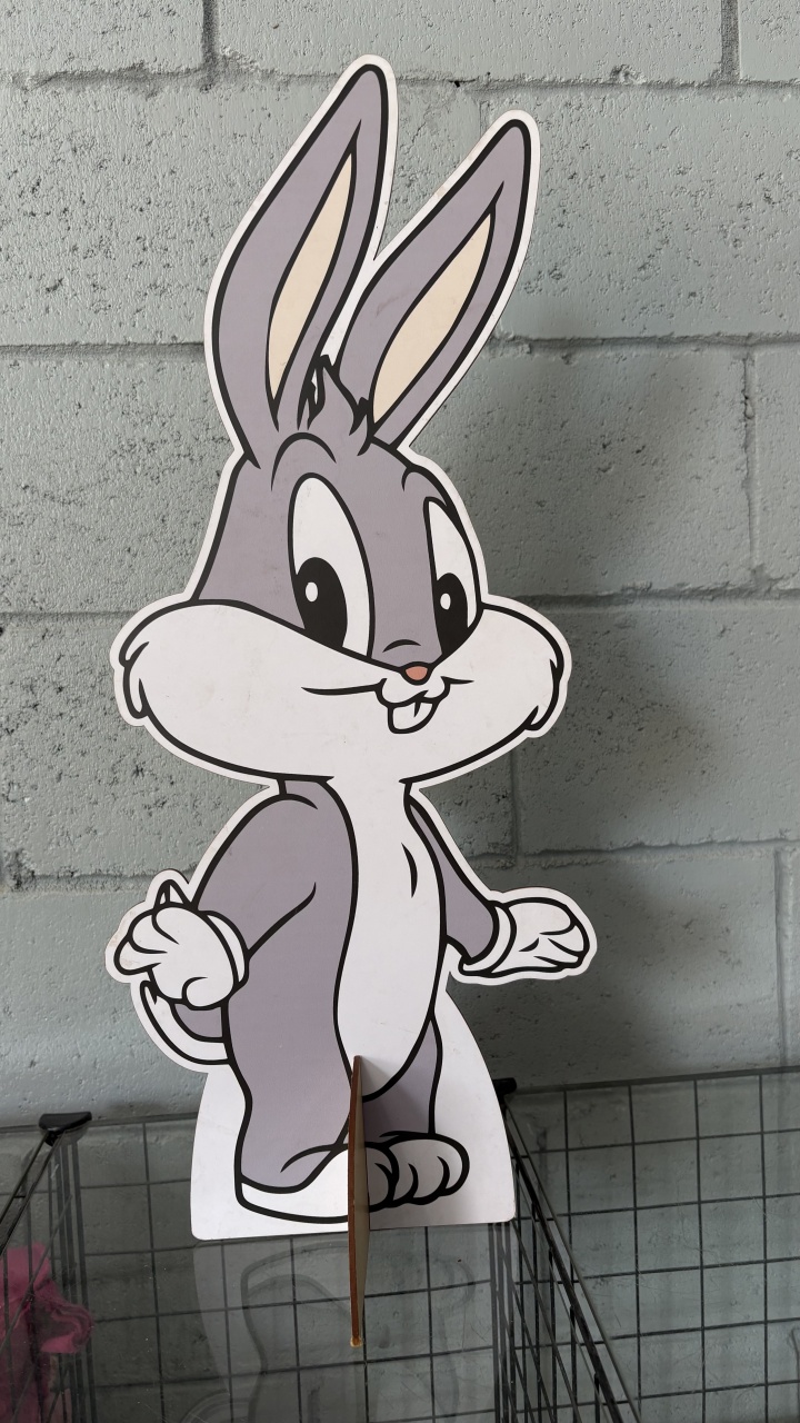 Display Perna Longa Looney Tunes Grande - Toque Mágico Decoração e pegue e monte