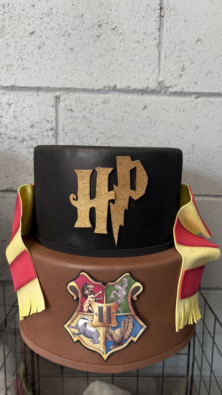 Bolo Fake Harry Potter - Toque Mágico Decoração e pegue e monte
