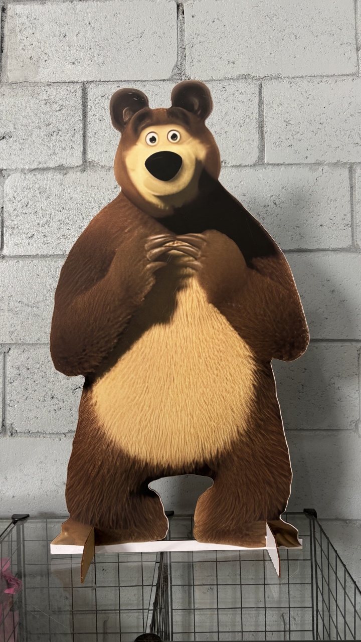 Display Urso Grande - Toque Mágico Decoração e pegue e monte