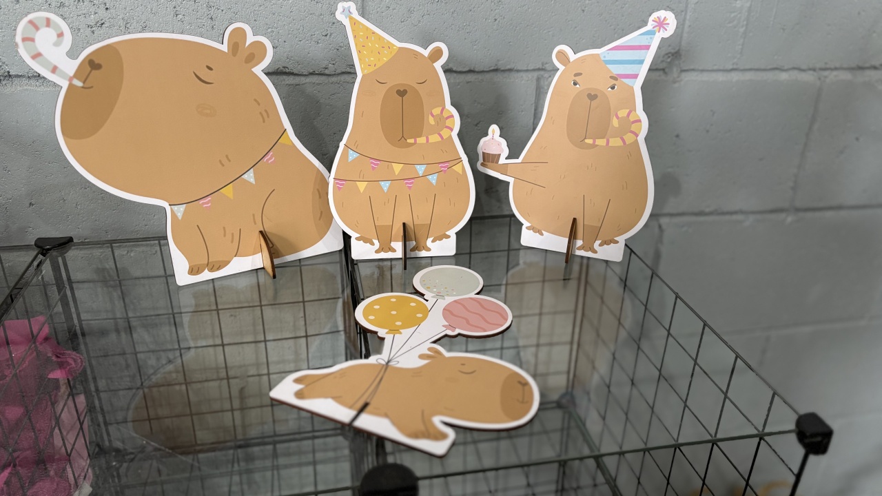 Kit Display Pequeno Capivara - Toque Mágico Decoração e pegue e monte