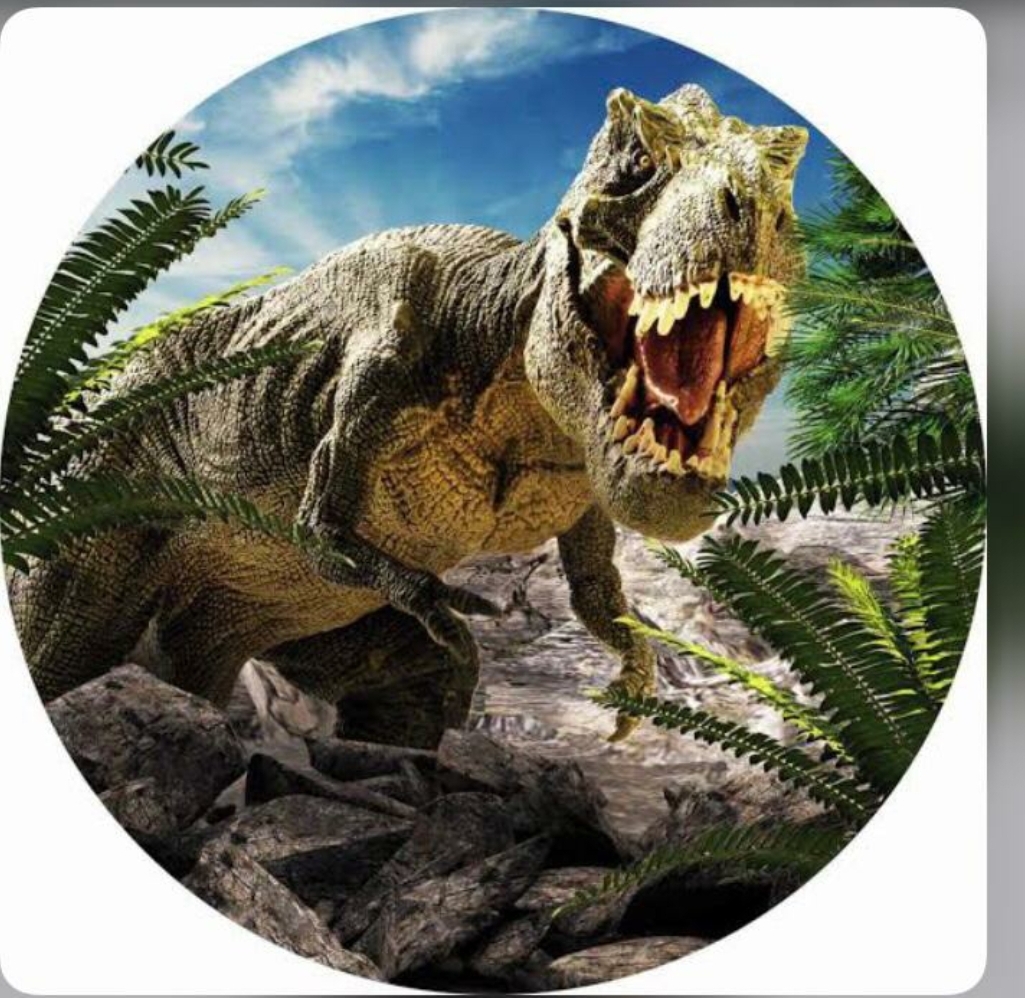 Capa Painel Dinossauros 1,50M - Boutique festa locações 