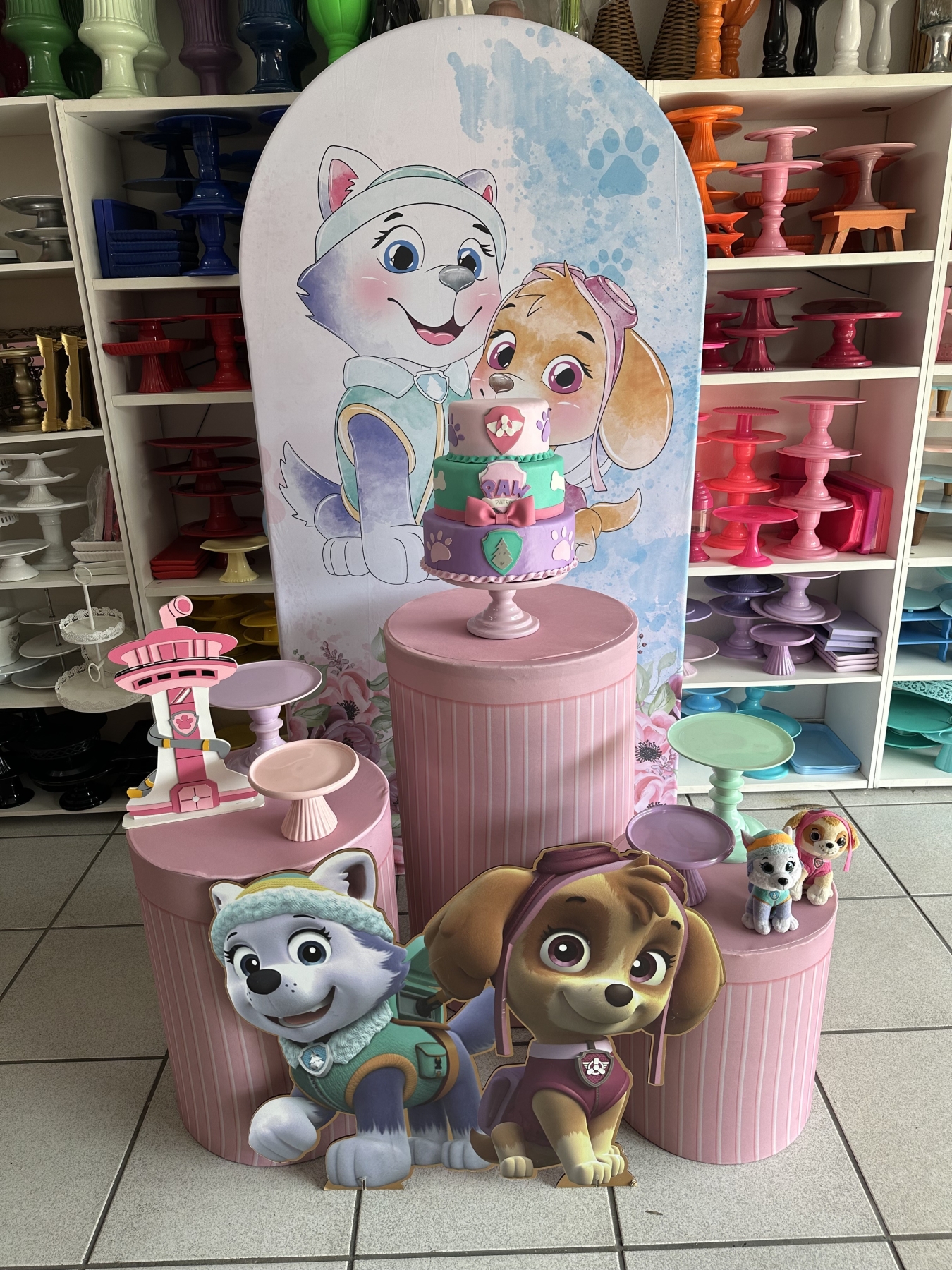 Skye E Everest - Boutique festa locações 