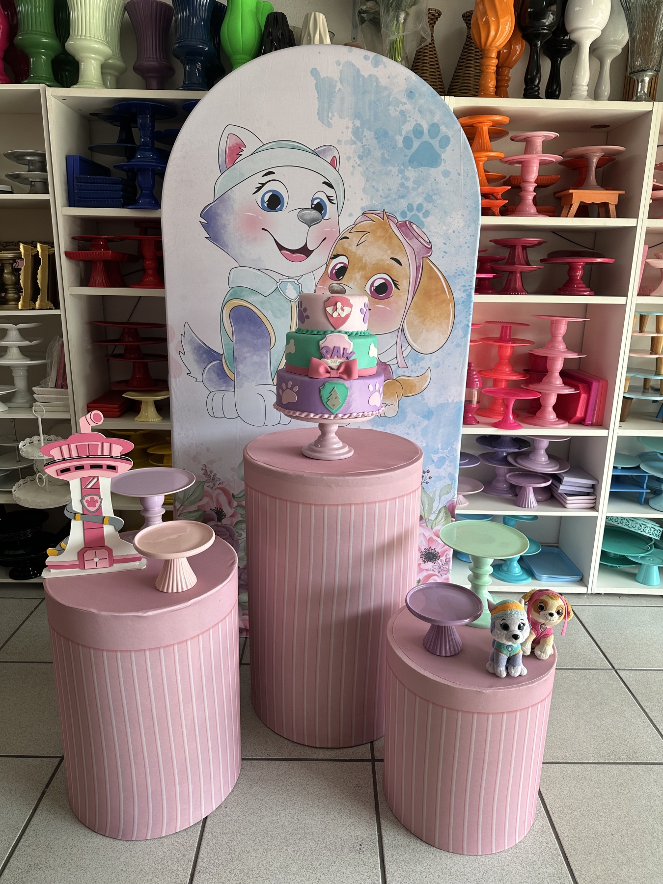 Skye E Everest - Boutique festa locações 