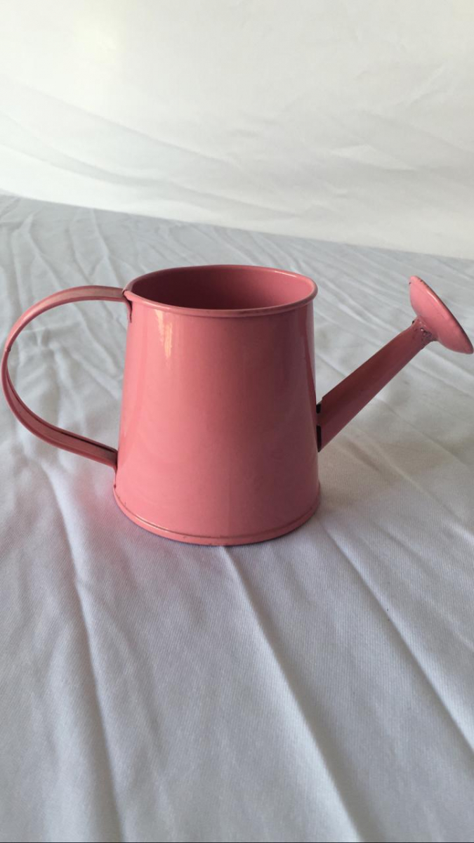 Regador Rosa P Jardim - Boutique festa locações 