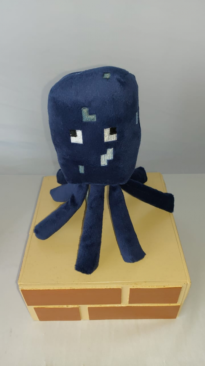 Minecraft 9 - Boutique festa locações 