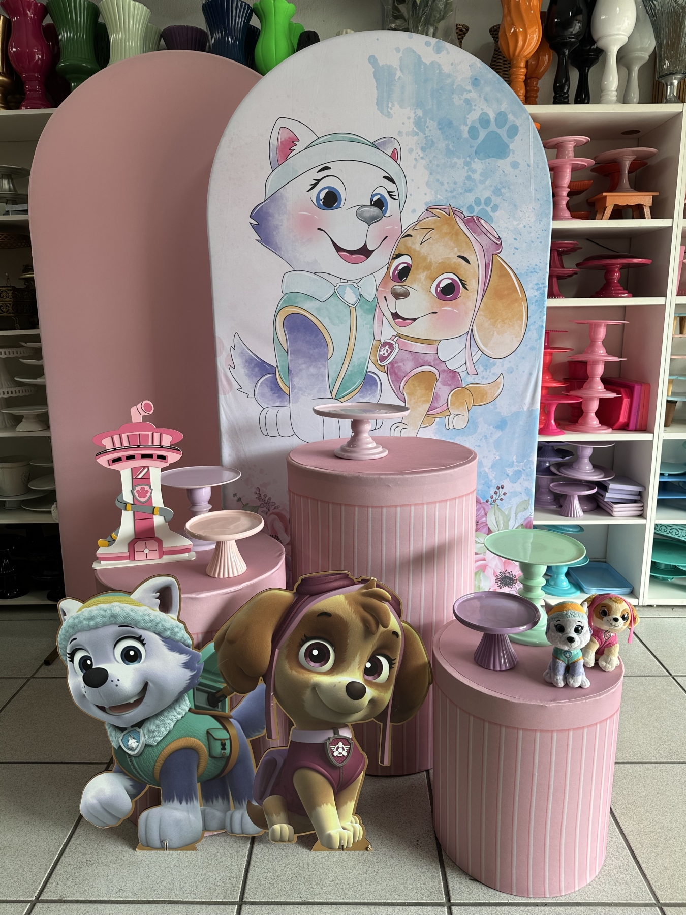 Skye E Everest - Boutique festa locações 