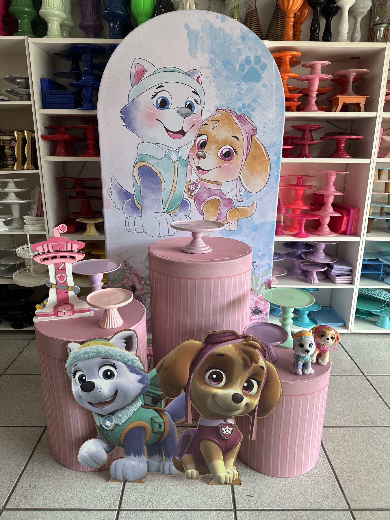 Skye E Everest - Boutique festa locações 