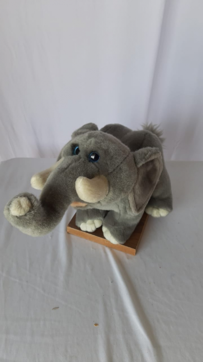 Elefante Pelúcia Safari P - Boutique festa locações 
