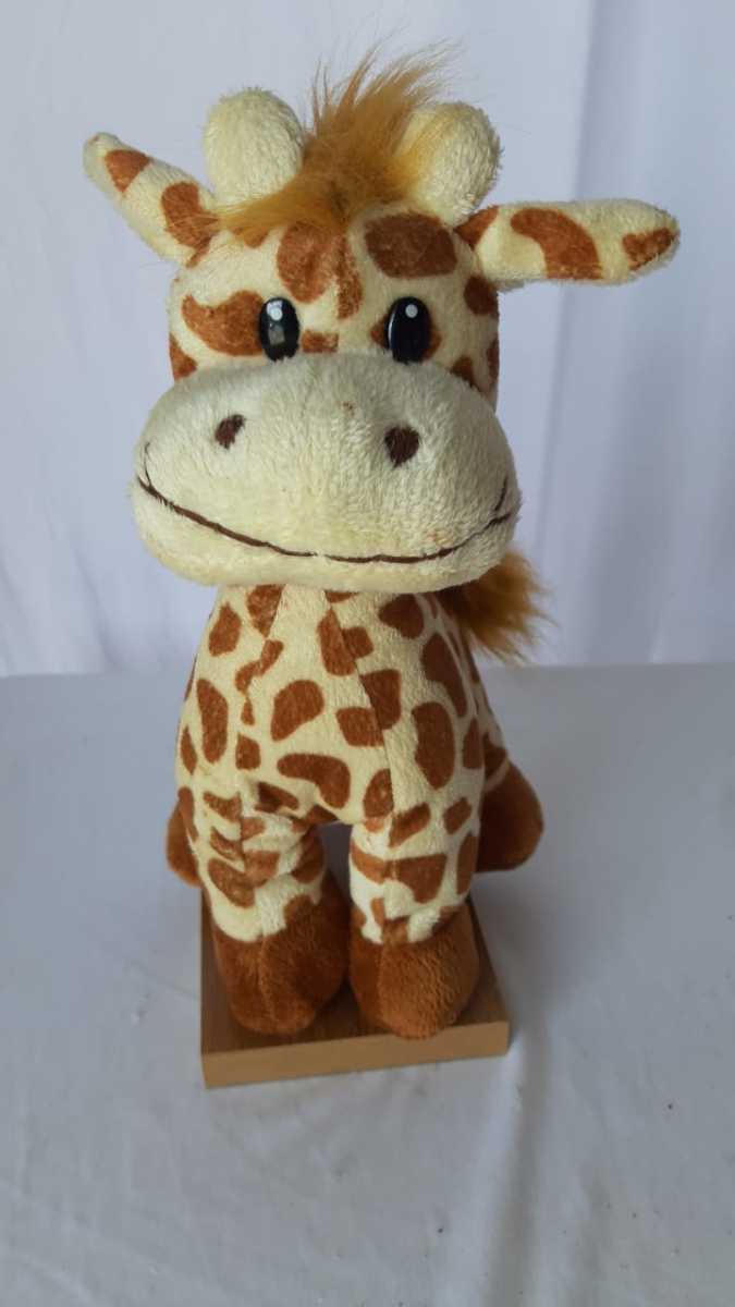 Girafa Safari - Boutique festa locações 