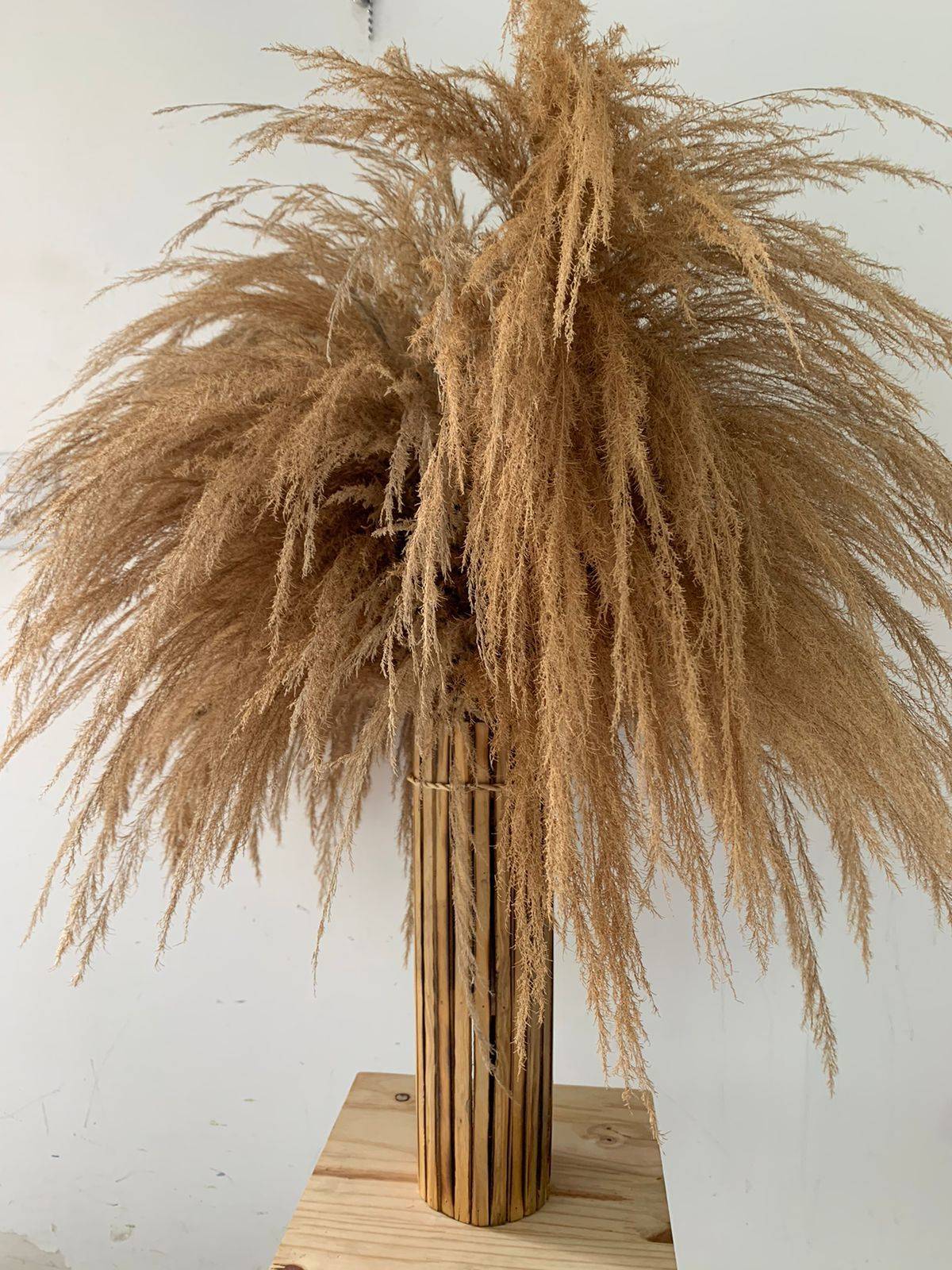 Vaso Bambu Com Pena Vintage - Boutique festa locações 