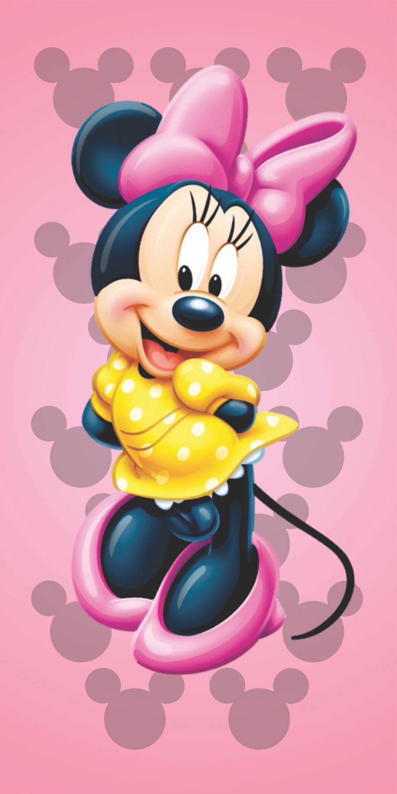 Capa Painel Romano Minnie Turma Do Mickey Disney - Boutique festa locações 