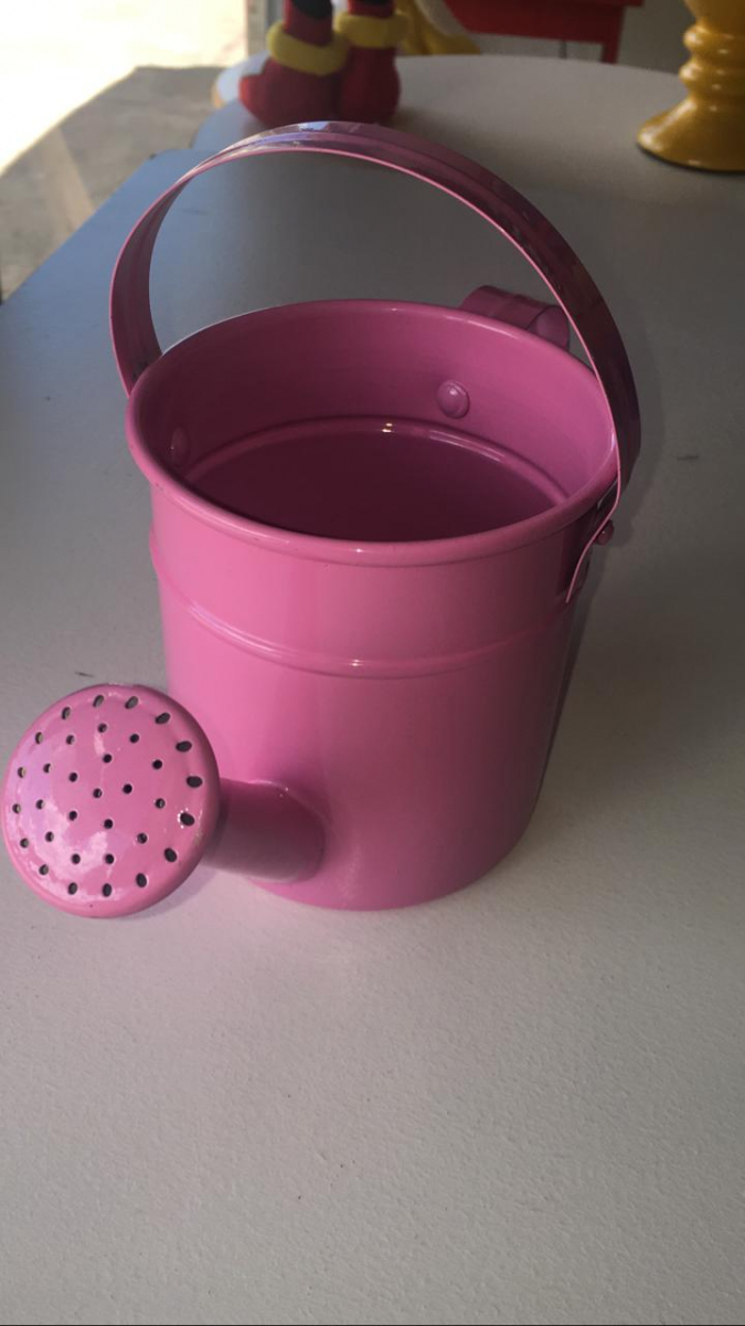Regador Rosa M Alumínio Jardim - Boutique festa locações 