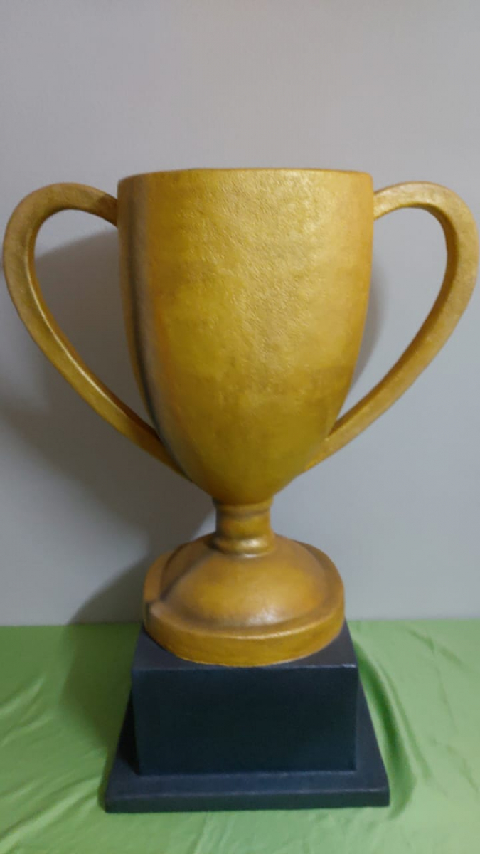 Taça Fibra Grande (Futebol/ Carros) - Boutique festa locações 