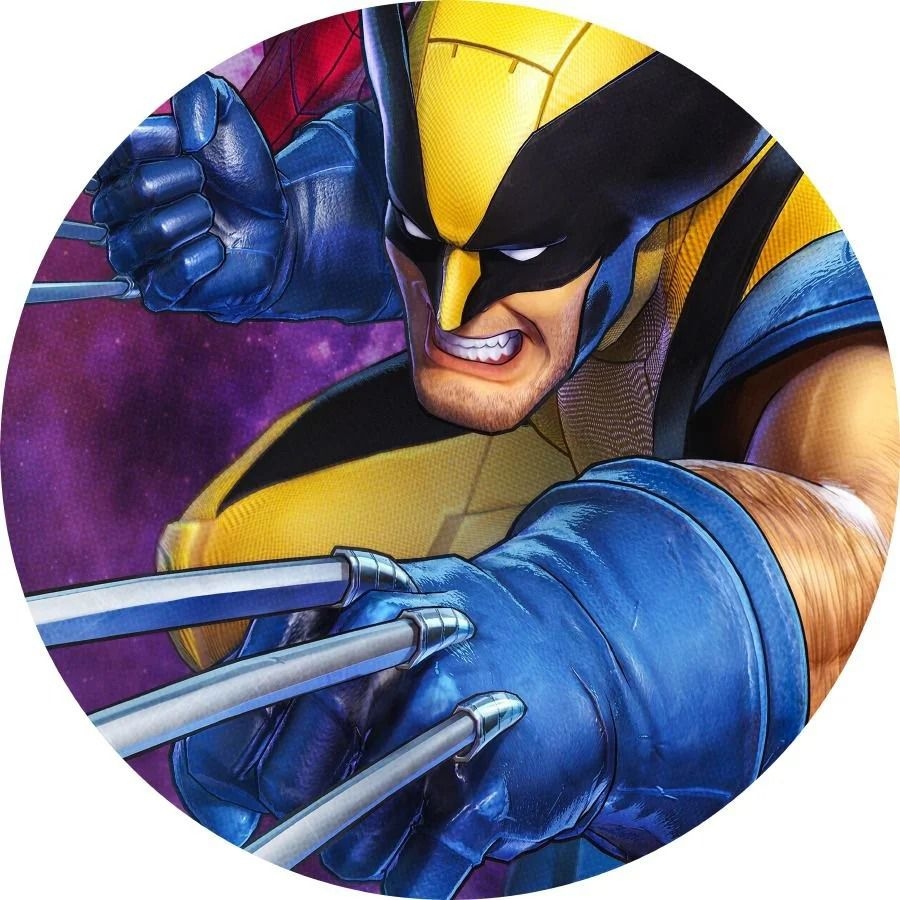 Capa Painel  Wolverine 1,50M - Boutique festa locações 