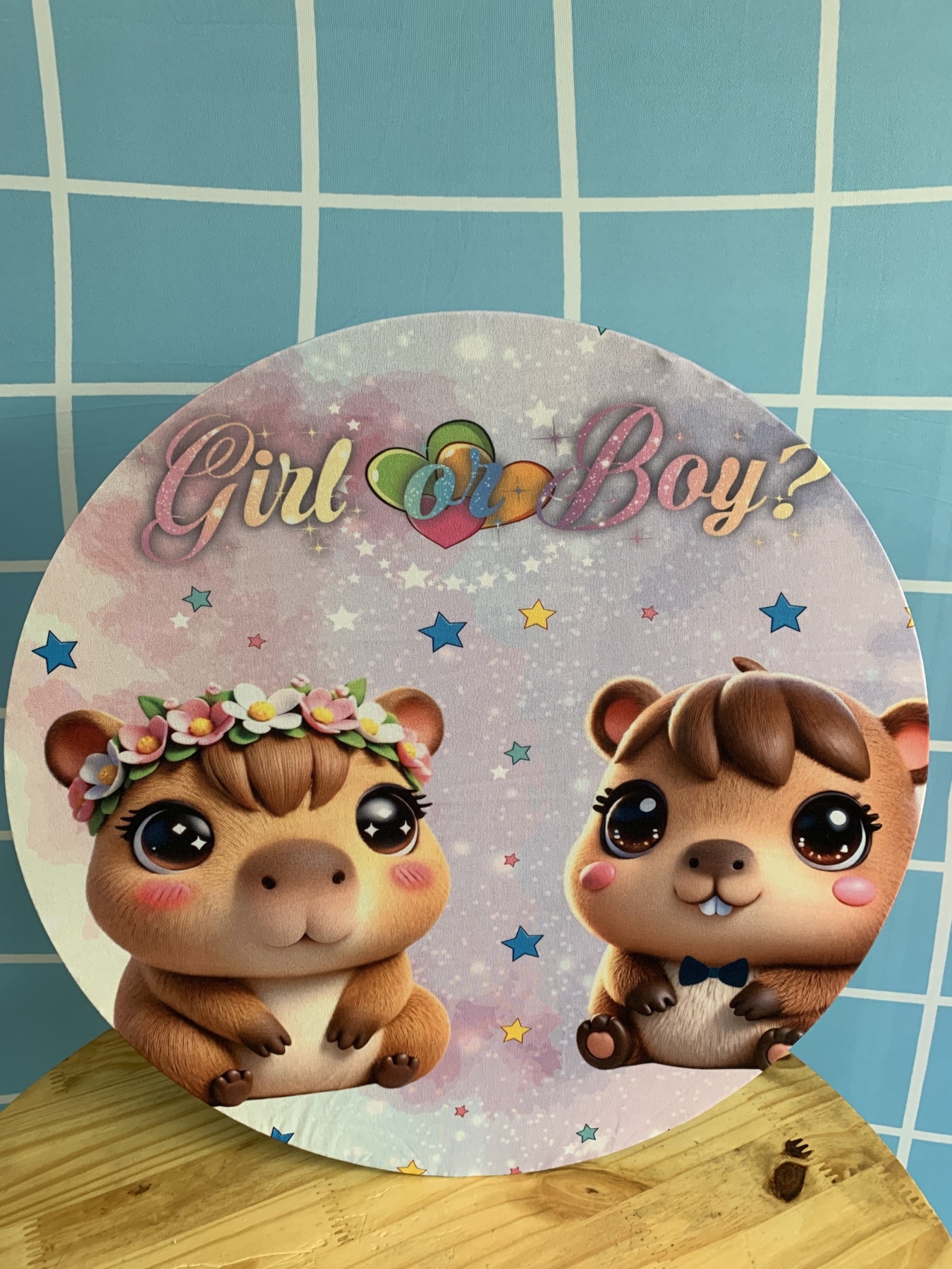 Capa Painel Revelação Capivara - Boutique festa locações 