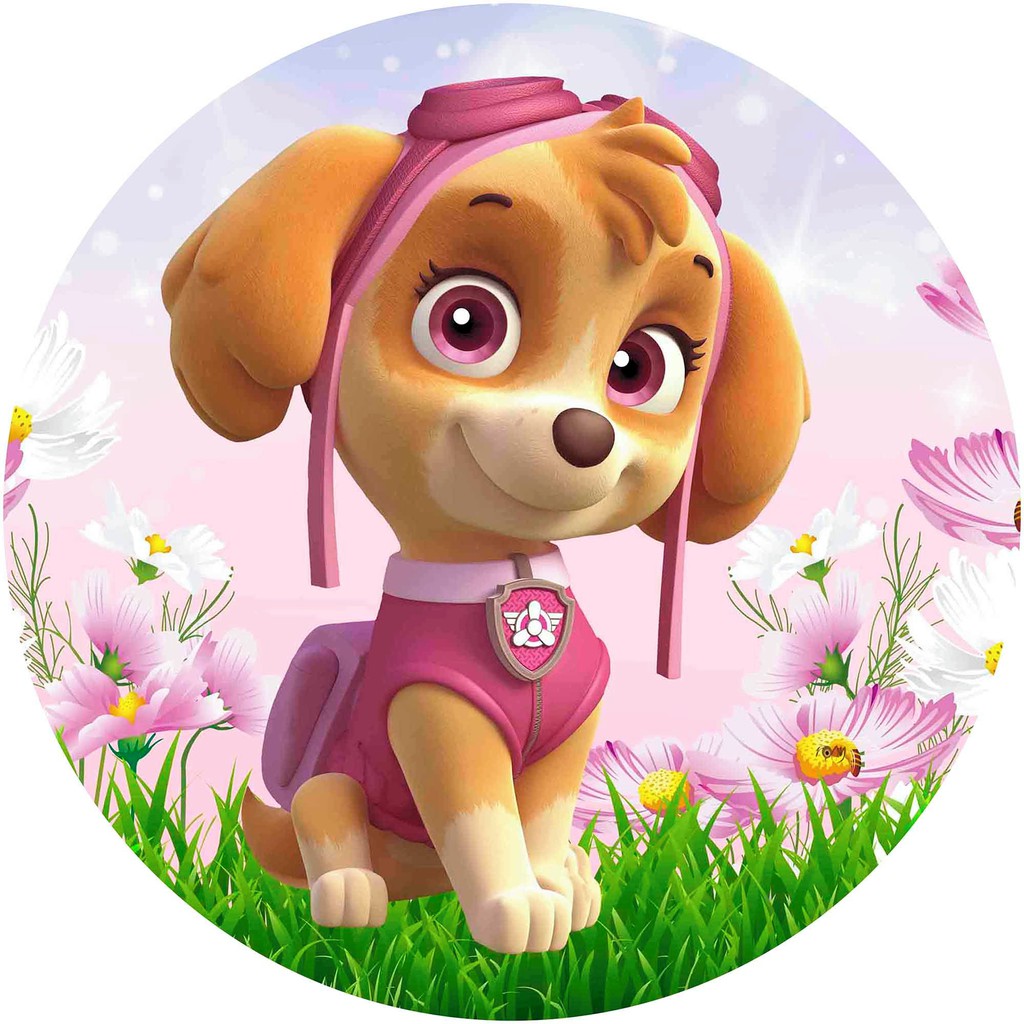 Capa Painel Patrulha Canina Skye 1,80M - Boutique festa locações 