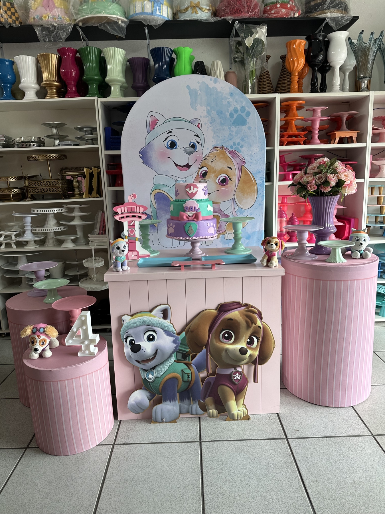 Skye E Everest - Boutique festa locações 