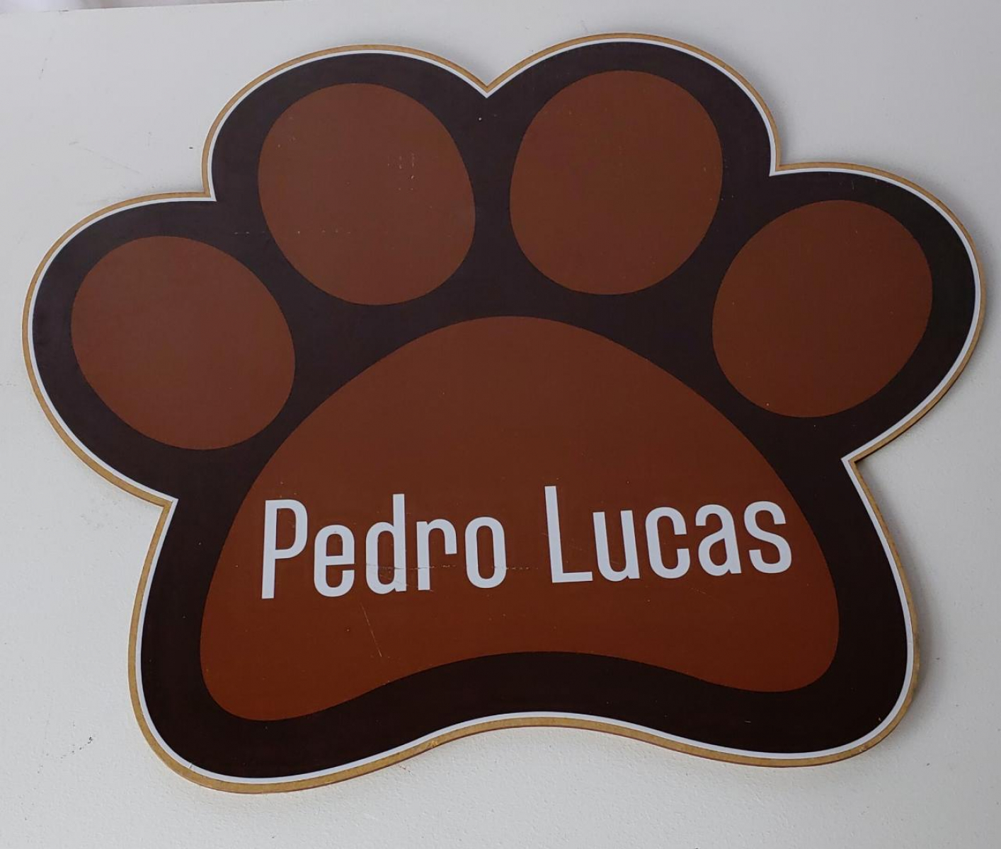 Elipse  Patinha Cachorro Patrulha Canina - Boutique festa locações 