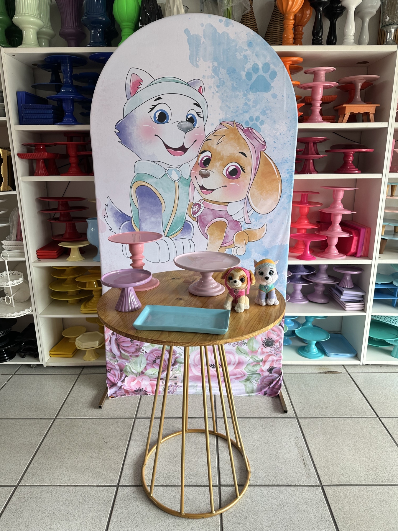 Skye E Everest - Boutique festa locações 