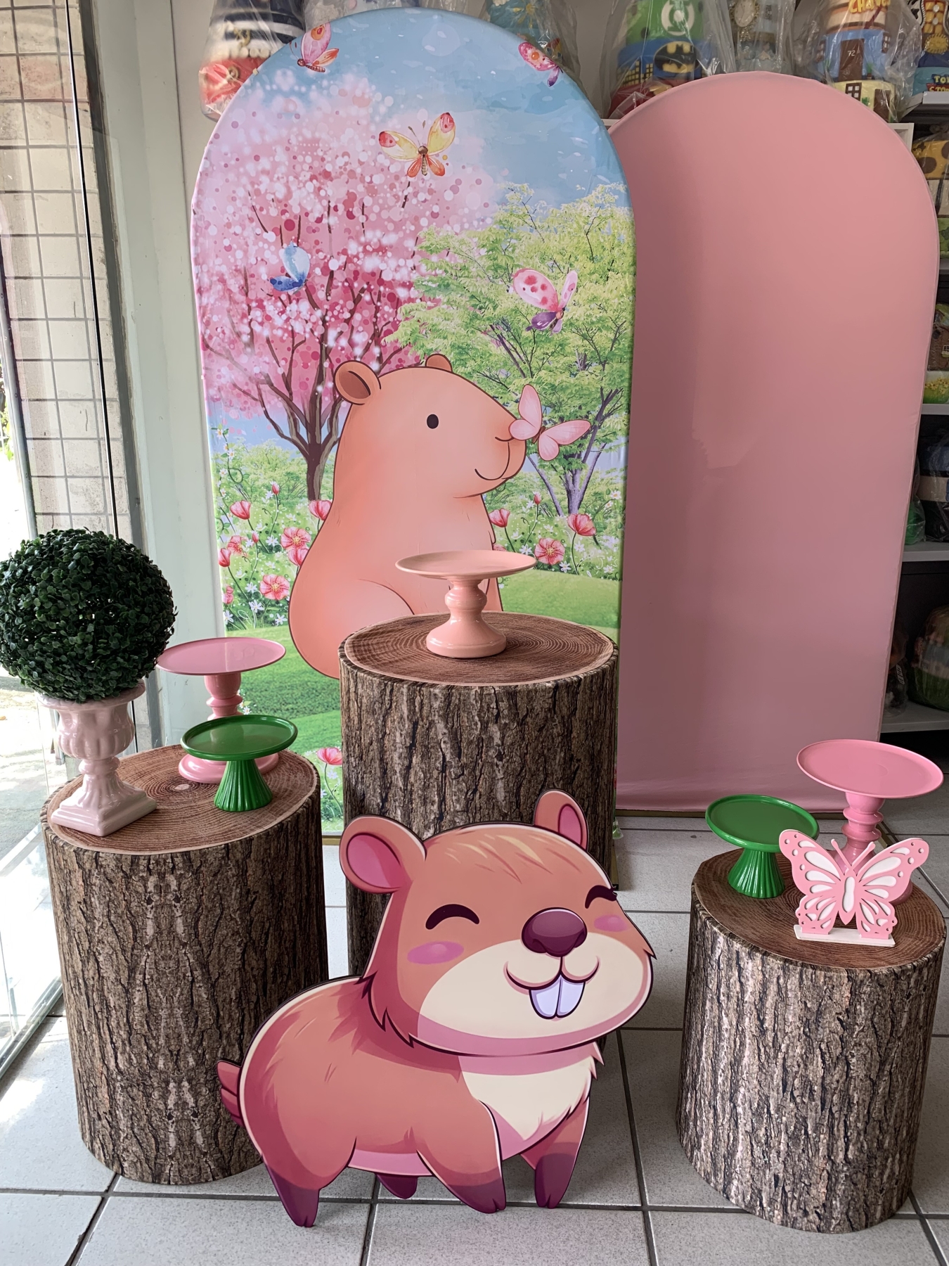 Capivara - Boutique festa locações 