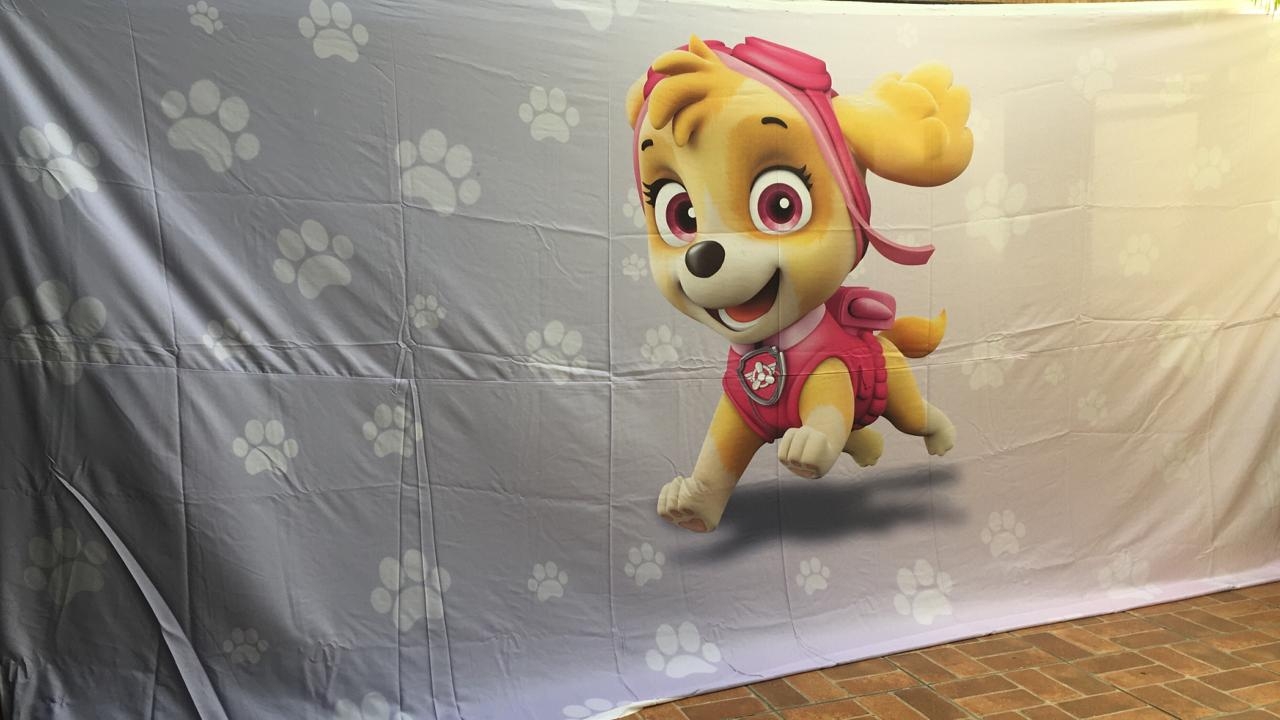 Painel Retangular  Skye ( Patrulha Canina ) - Boutique festa locações 