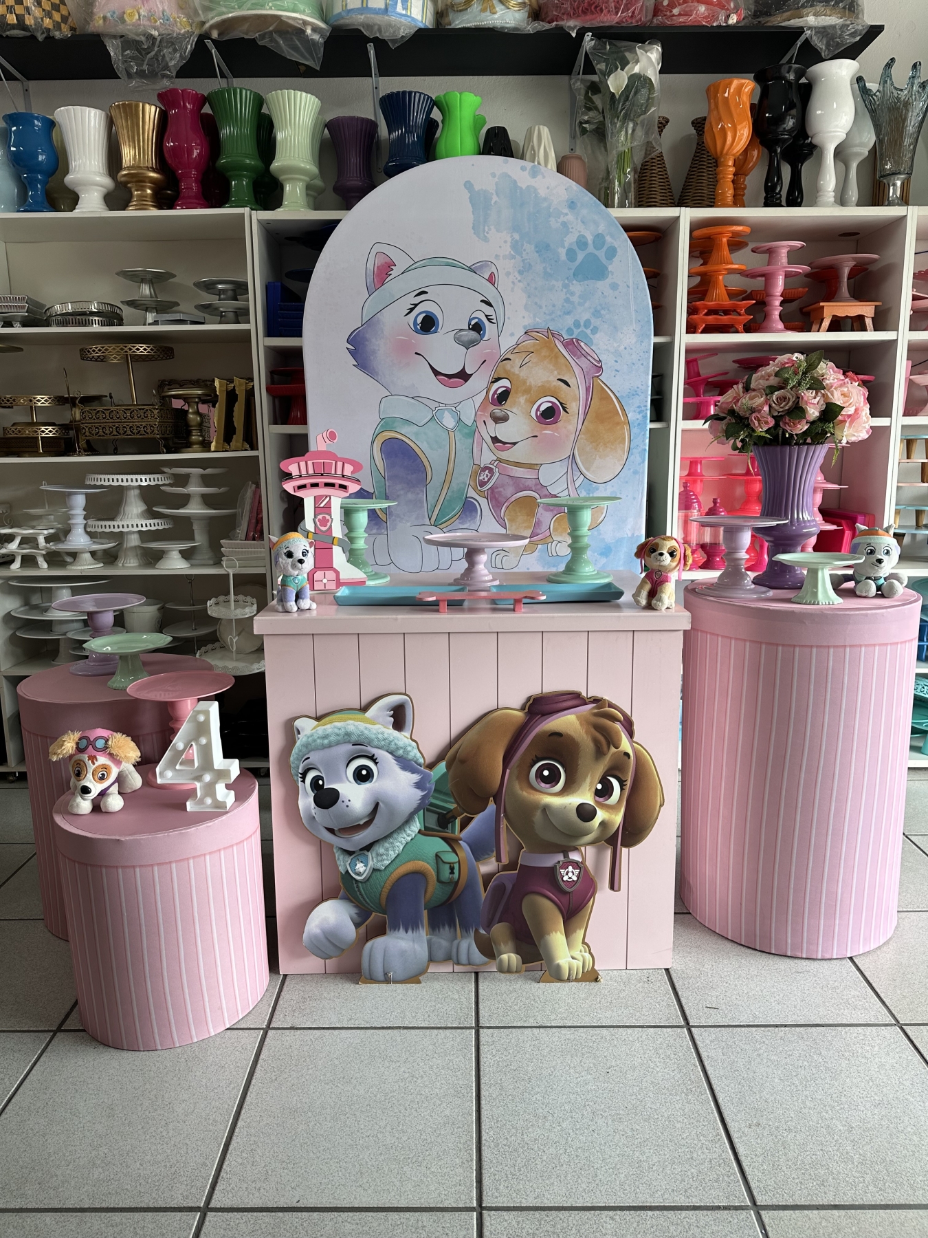 Skye E Everest - Boutique festa locações 