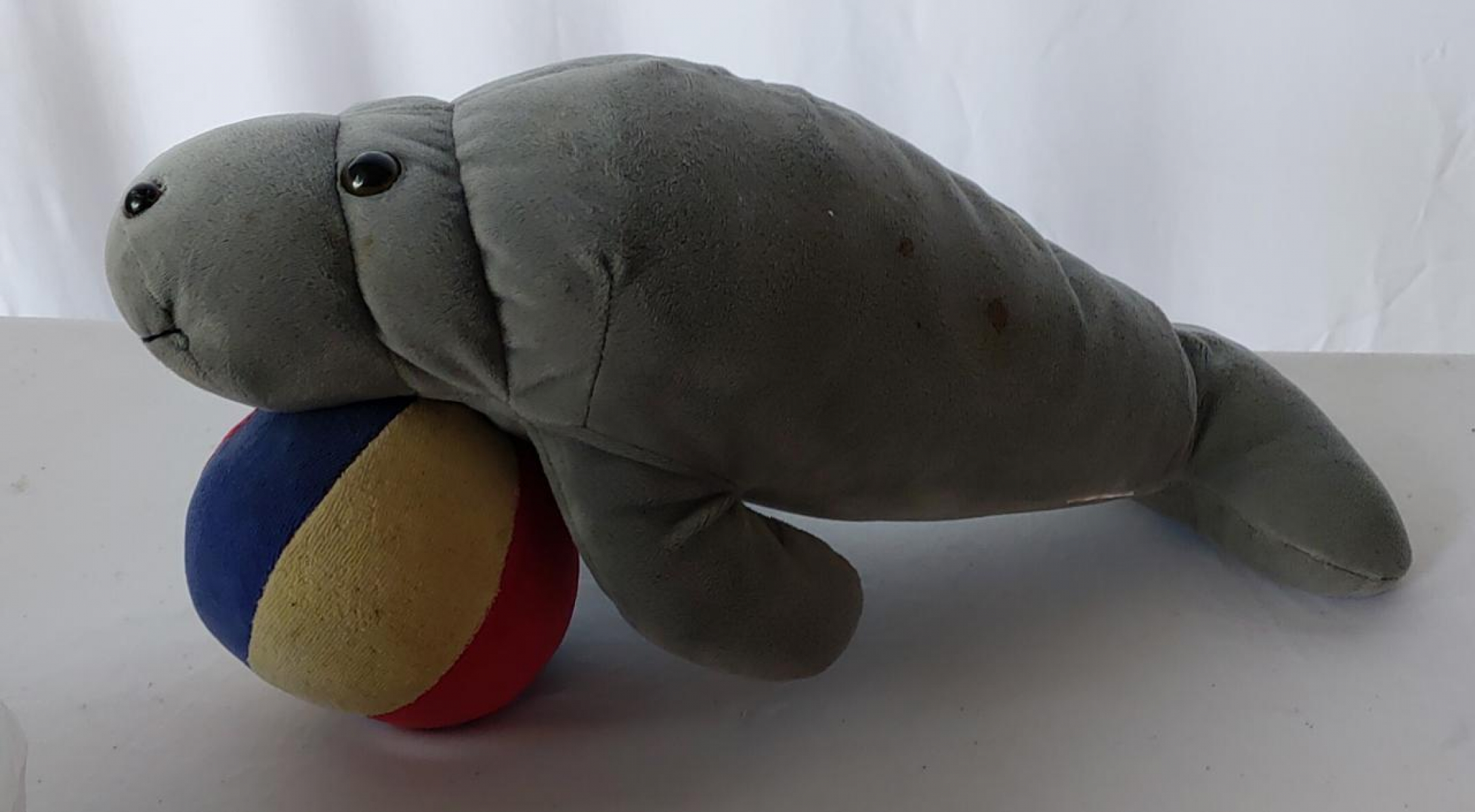 Foca Com Bola Circo - Boutique festa locações 