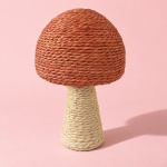 Cogumelo Corda - imagem 4