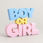Boy Or Girl - imagem 2