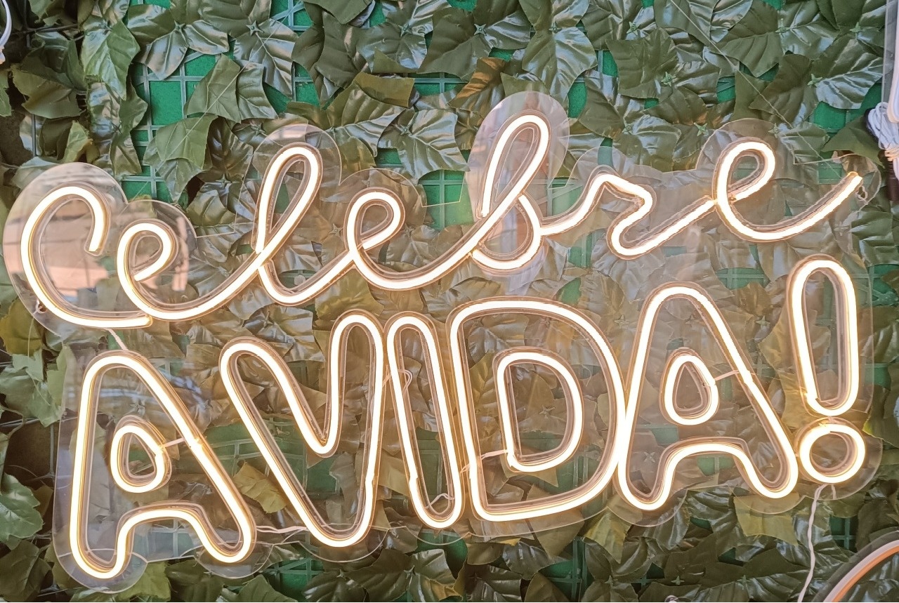  Celebre A Vida de  Led - Cantinho da Cris Reis