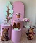 Capivara Cilindro - imagem 2