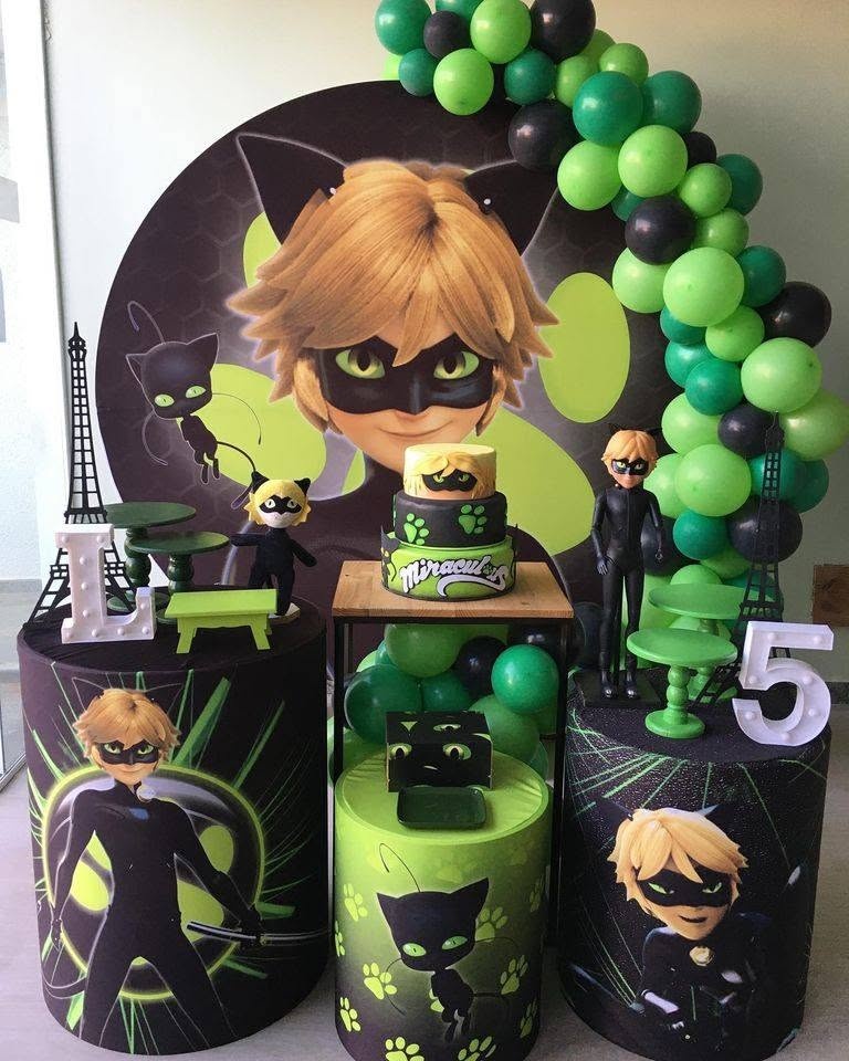 Catnoir Miraculous - FABIANA LOPES DECORACOES