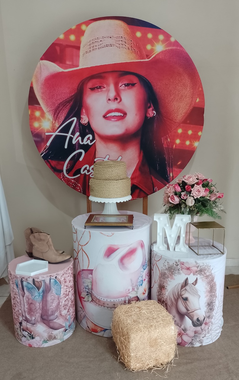 Ana Castela Kit Prata  - Liviarts Criativa