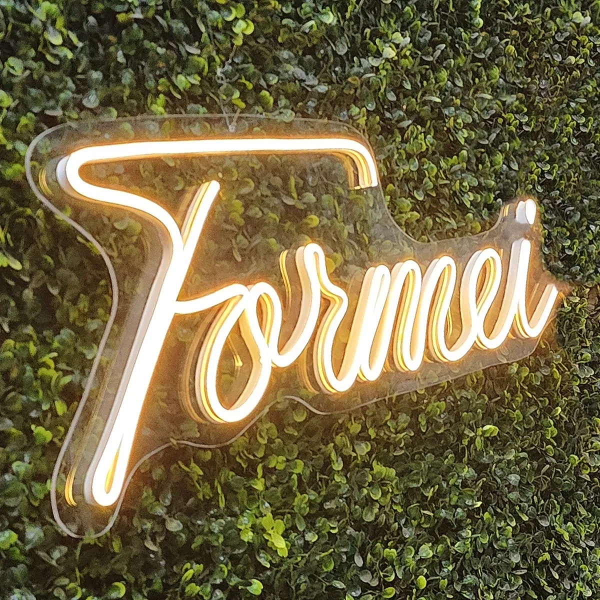 Formei de Led - Liviarts Criativa