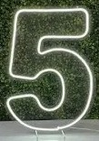 Numero 5 de Led Em Acrilico Chão - Liviarts Criativa