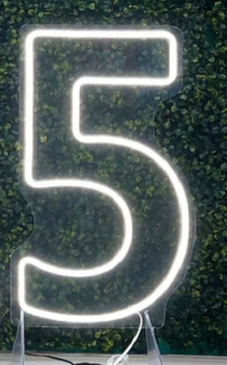 Número 5 Led  - Michi Pegue e Monte