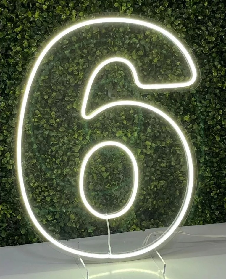 Numero 6 de Led - Michi Pegue e Monte