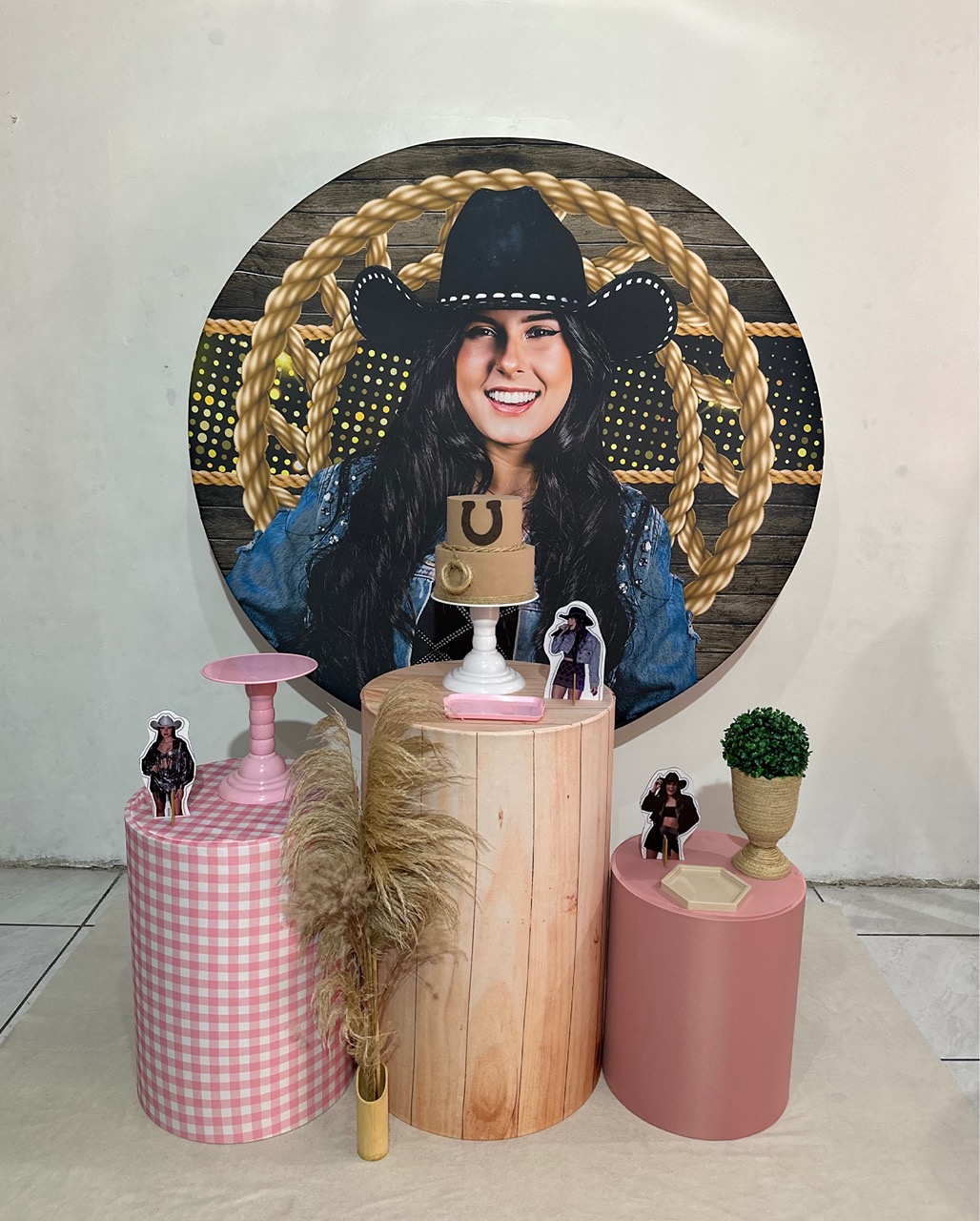 Kit 1 Ana Castela Rosa  - Michi Pegue e Monte