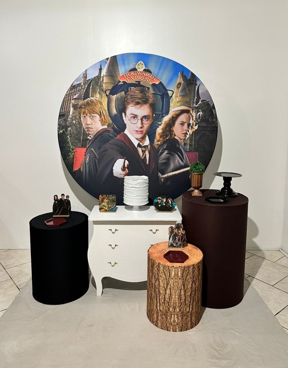 Kit 2 Harry Potter - Michi Pegue e Monte