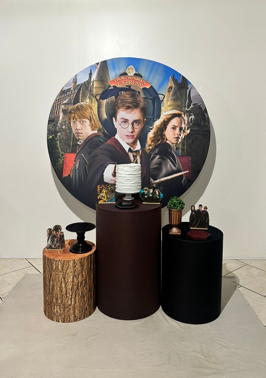 Kit 1 Harry Potter - Michi Pegue e Monte