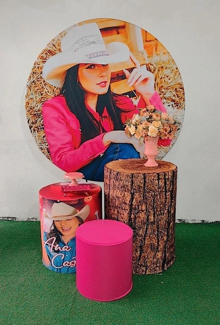 Kit Promocional Ana Castela  - TudFestas