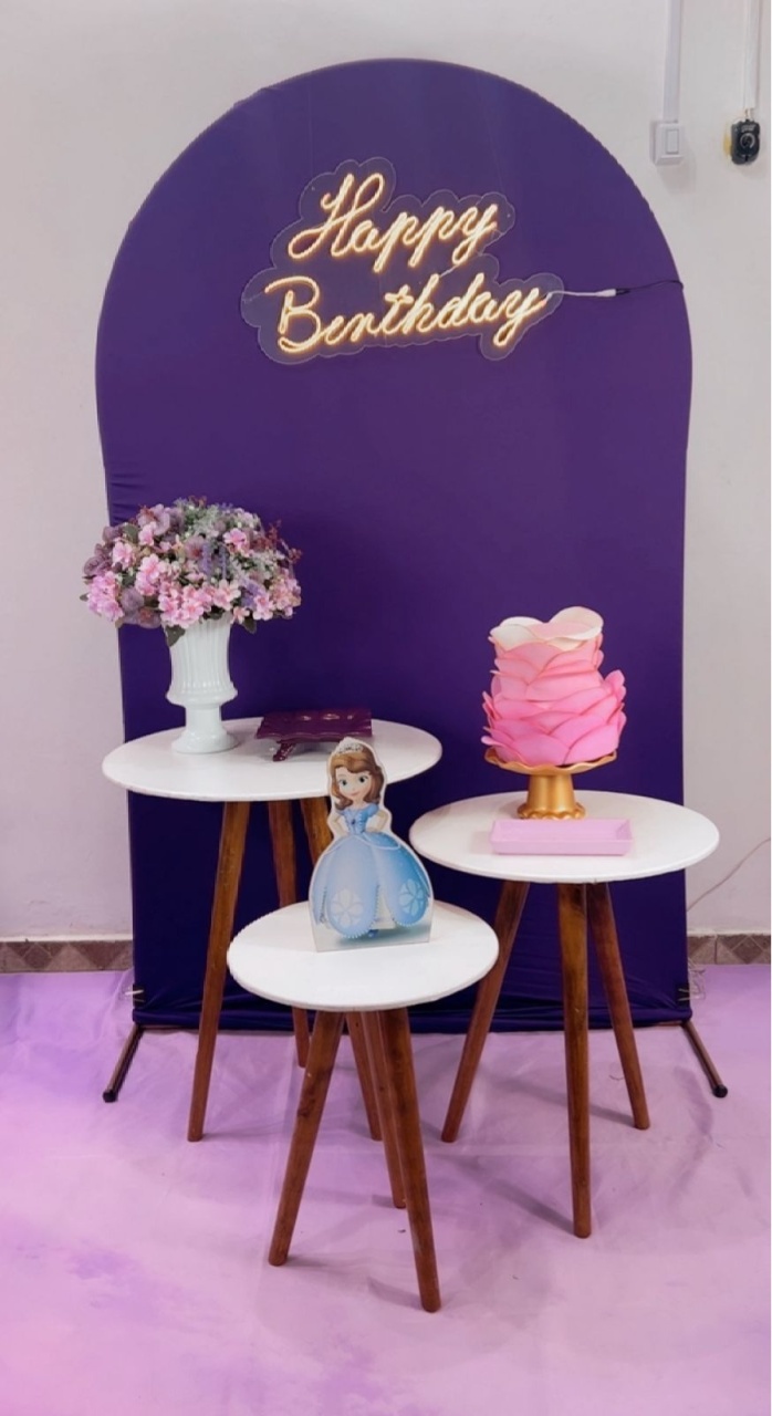 Princesa Sofia Composição - Modelo 3 - TudFestas